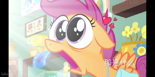 小马爆料四姐道具视频,小马爆料背后的秘密与惊喜 第2张 小马爆料四姐道具视频,小马爆料背后的秘密与惊喜 第2张