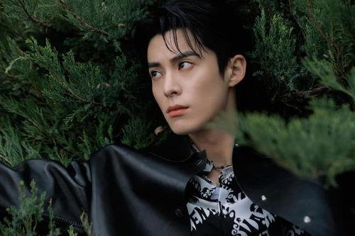 爆料娱乐圈王鹤棣是谁,王鹤棣的崛起之路  第3张